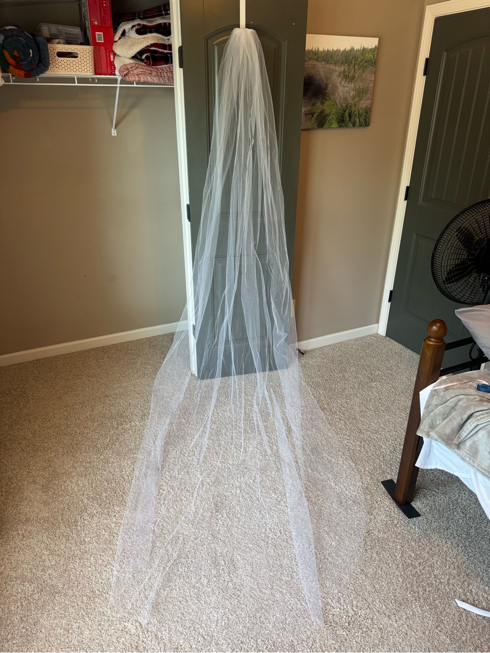 Cathedral Wedding Veil 9–10 Ft White Tulle Bridal Veil Worn Once